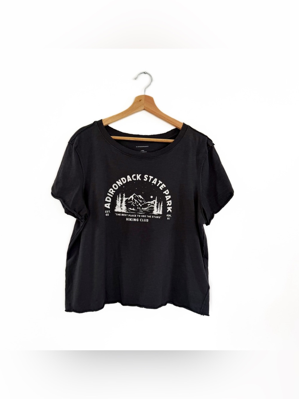 Anthropologie Graphic Tee Shirt Womens Large Adirondack State Park Boho